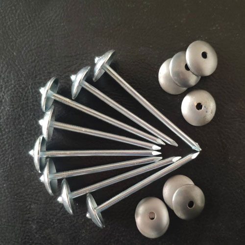 Roofing Nail