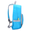 16631 Nylon Or Polyester Customized Foldable Backpack