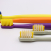 Colorful Adult Toothbrush
