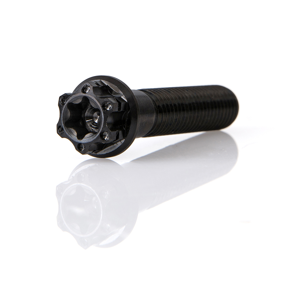 ベスパGTS300のチタンボルトディスクブレーキローターボルト