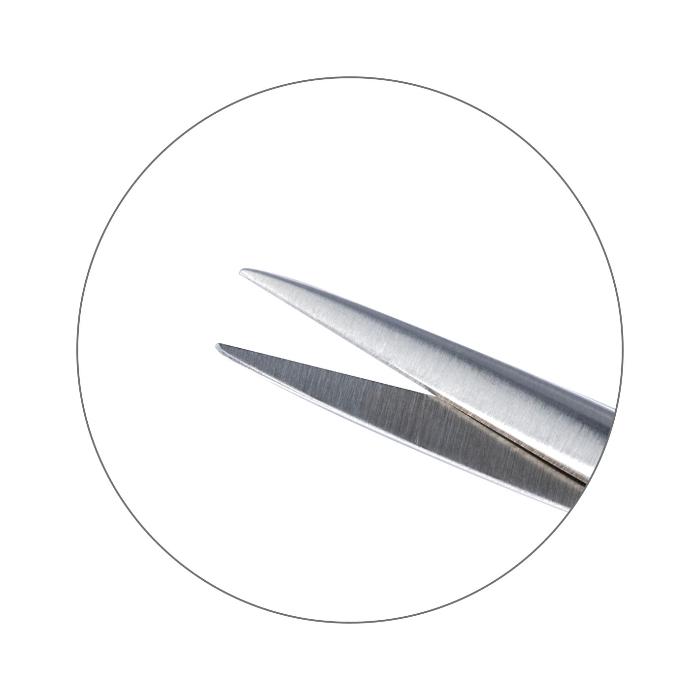 EN-9201 组织剪（直）