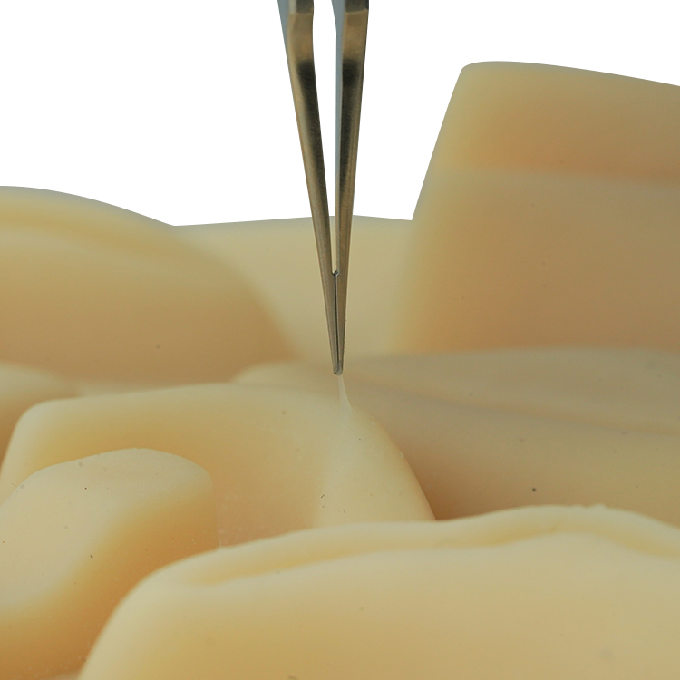 IF-2000B.12 三孔直有齿镊