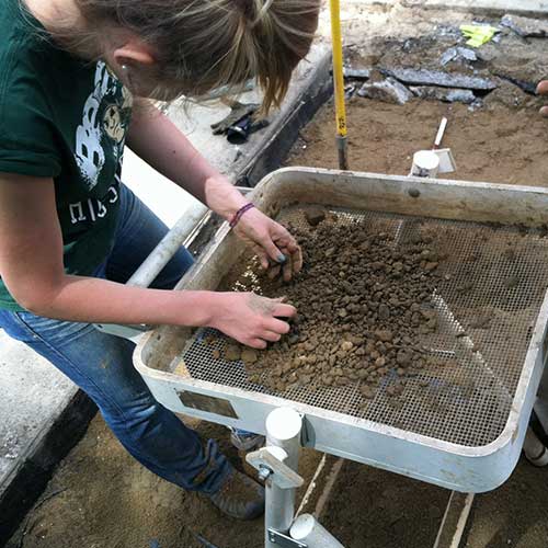 Stainless Steel Fine Woven Wire Cloth