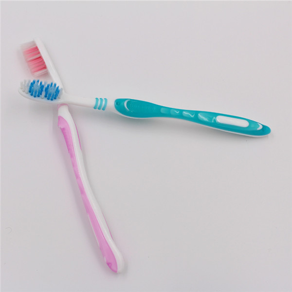 Cepillo de dientes económico diario para adultos