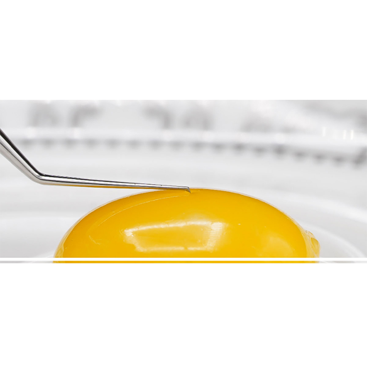 IF-3002S 1.8 小撕囊镊(微切口式)