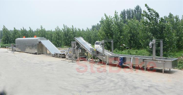 Raisin drying line