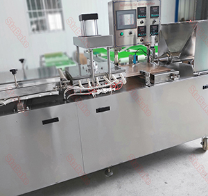 Vegetable washing machine