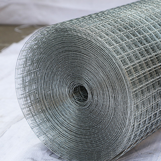 Welded Wire Mesh