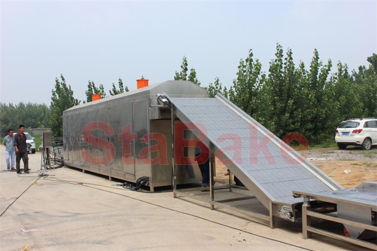 Raisin drying line