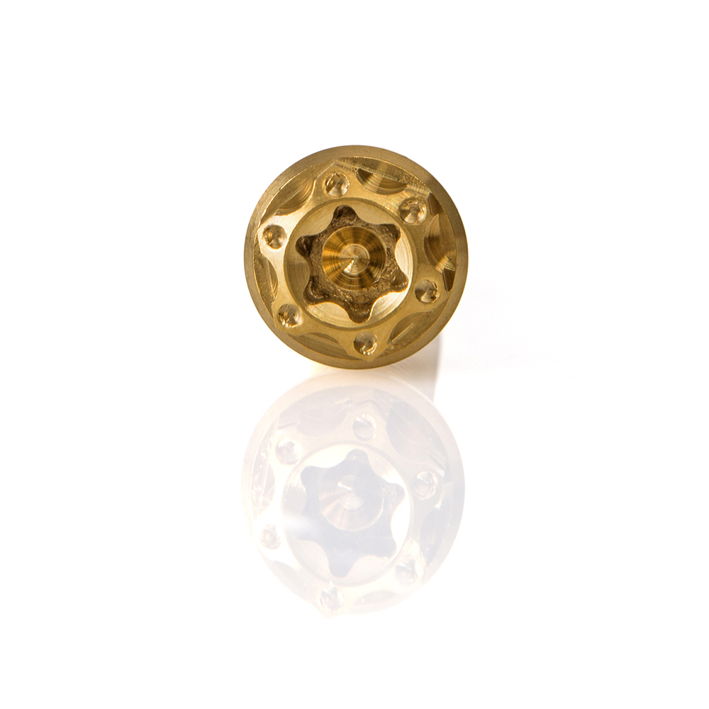 ベスパGTS300のチタンボルトディスクブレーキローターボルト