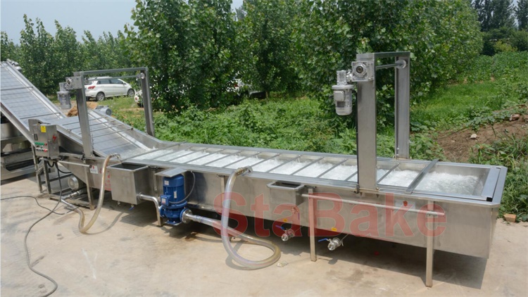 Raisin drying line