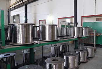 Wire-Annea-350-350