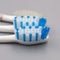 Cepillo de dientes adulto de mango ancho
