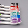 Free-standing Toothbrush with Bottom Suction