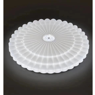 LED flower Ceiling lamp round 40W/50W