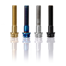 ベスパGTS300のチタンボルトディスクブレーキローターボルト