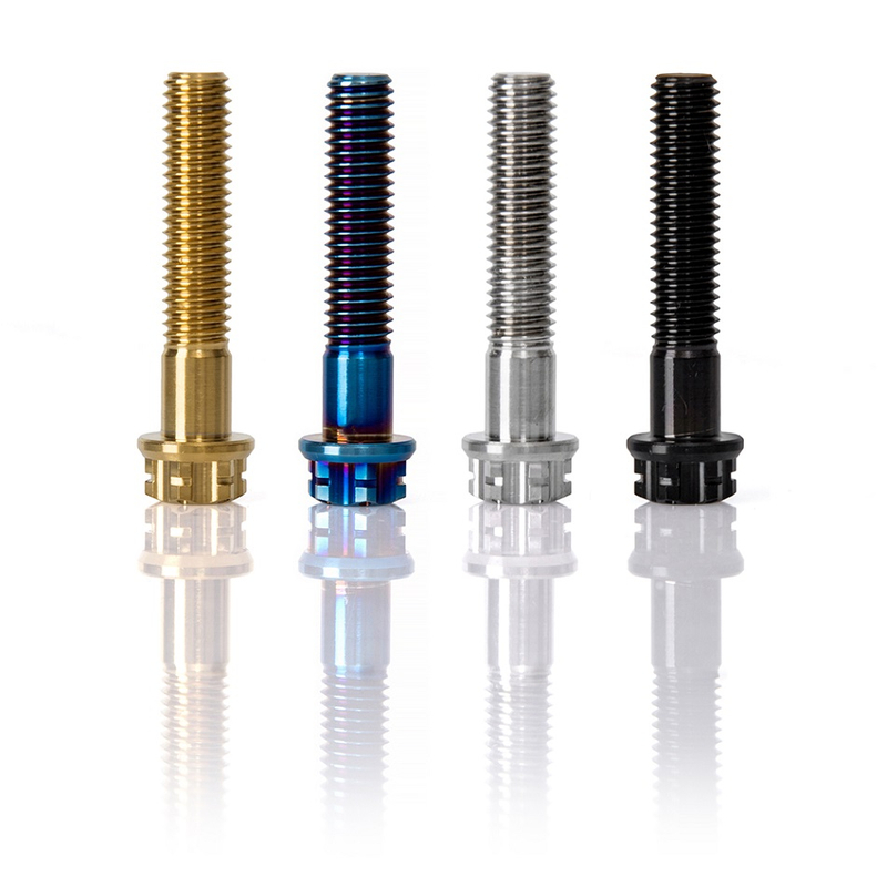 ベスパGTS300のチタンボルトディスクブレーキローターボルト