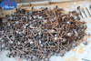 Rivet Nail Making Machine