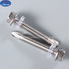 Stainless Steel Self Tapping Screws All Kind Of Head Tapping Screw SS Self-tapping Screw