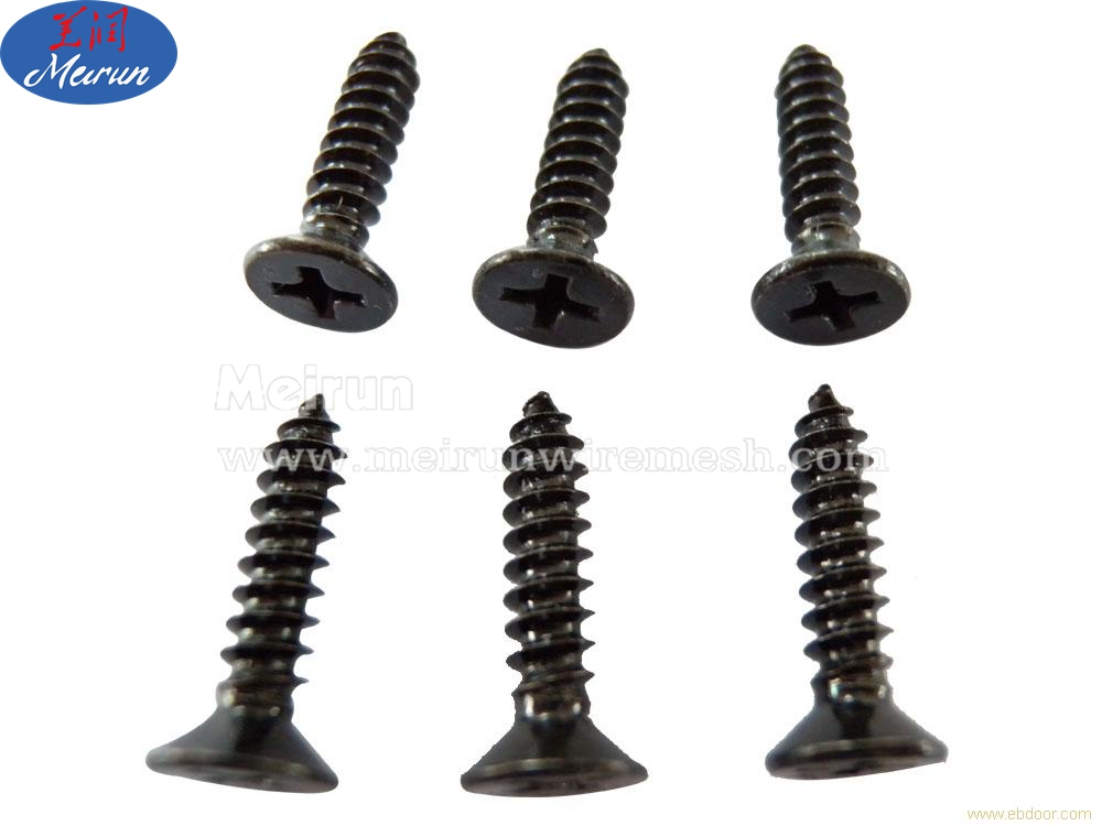 Stainless Steel Self Tapping Screws All Kind Of Head Tapping Screw SS Self-tapping Screw