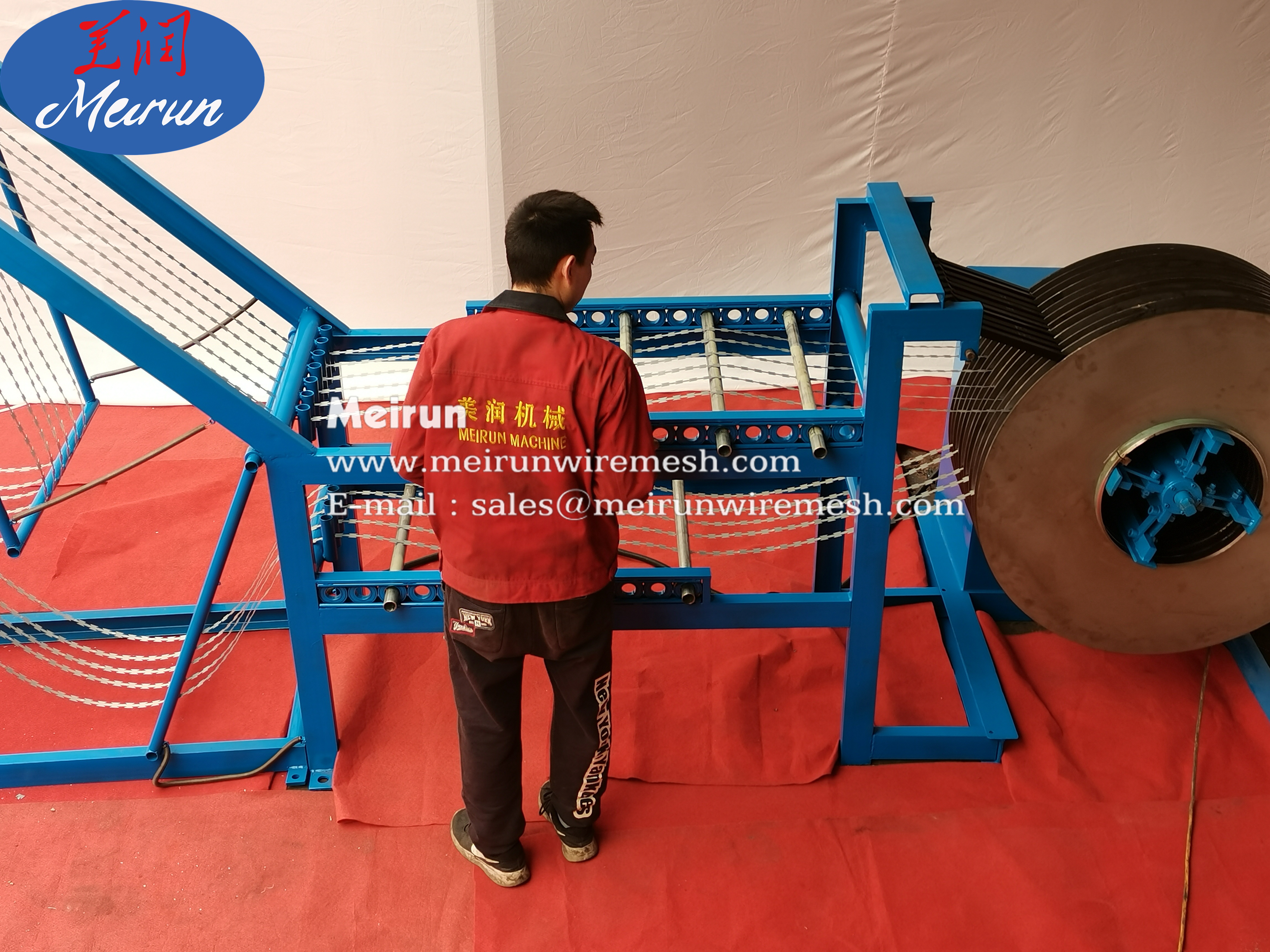 450mm/730mm/980mm Razor Wire/Galvanized Razor Barbed Wire
