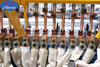Poultry Cage Mesh Welding Machine Welded Wire Mesh Machine Wire Cage Making Machine