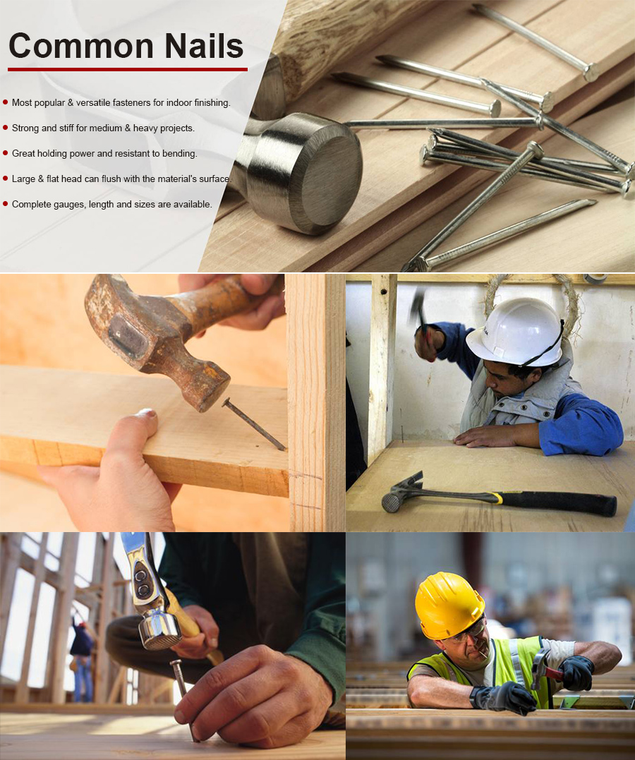 gewone nageltoepassing