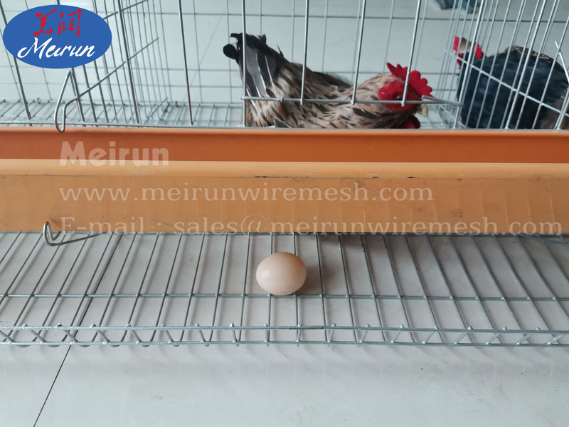 Plc Automatic Construction Welded Wire Mesh Machine Supplier