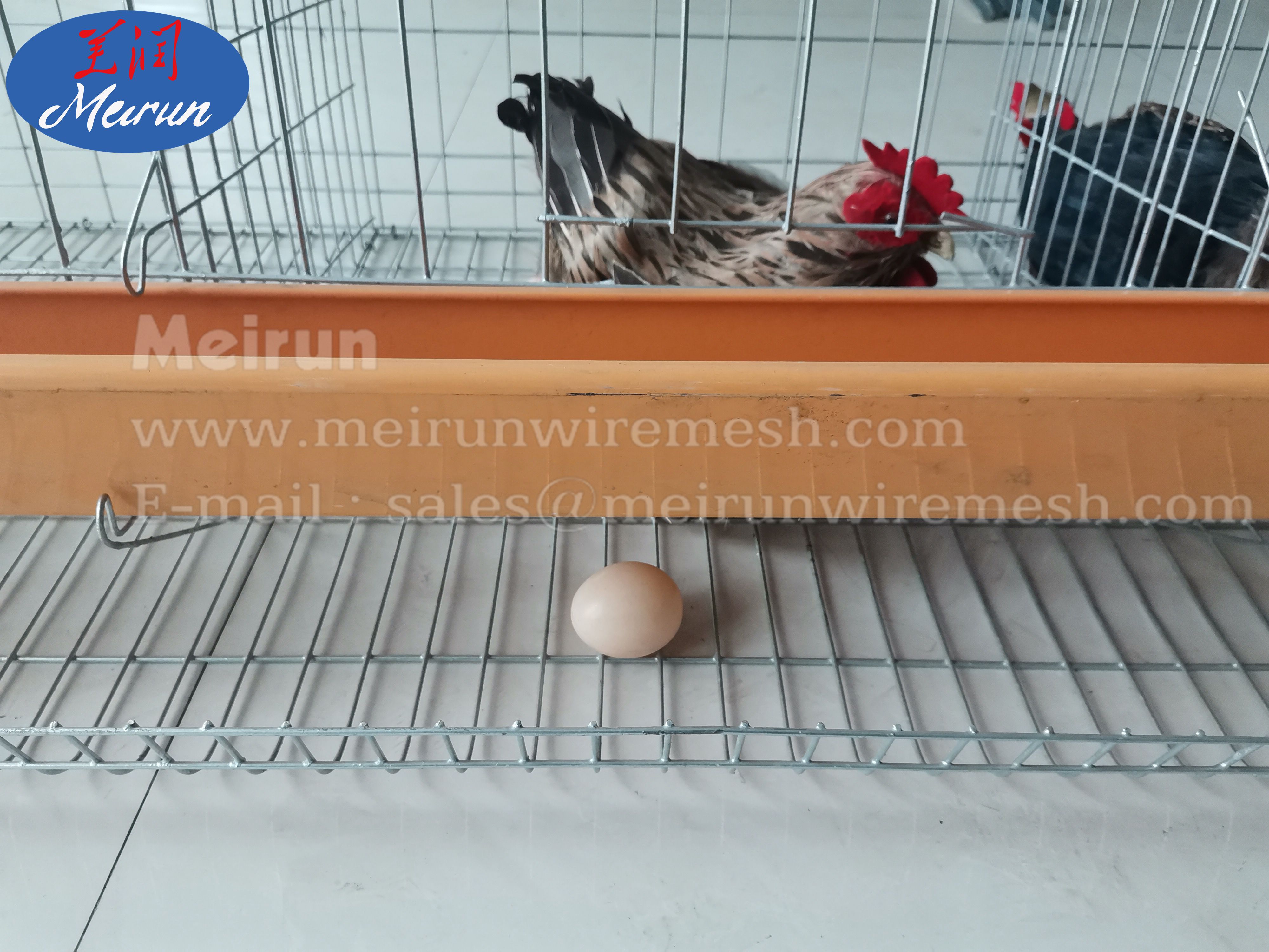 China Supplier Good Sale Welding Wire Mesh Making Machine
