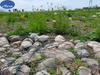Automatic Wire Fence Hexagonal Gabion Mesh Machinery