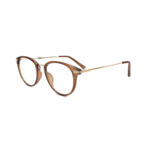 Wholesale Custom Plastic Frame with Metal Eyeglasses Ladies Reading Glasses