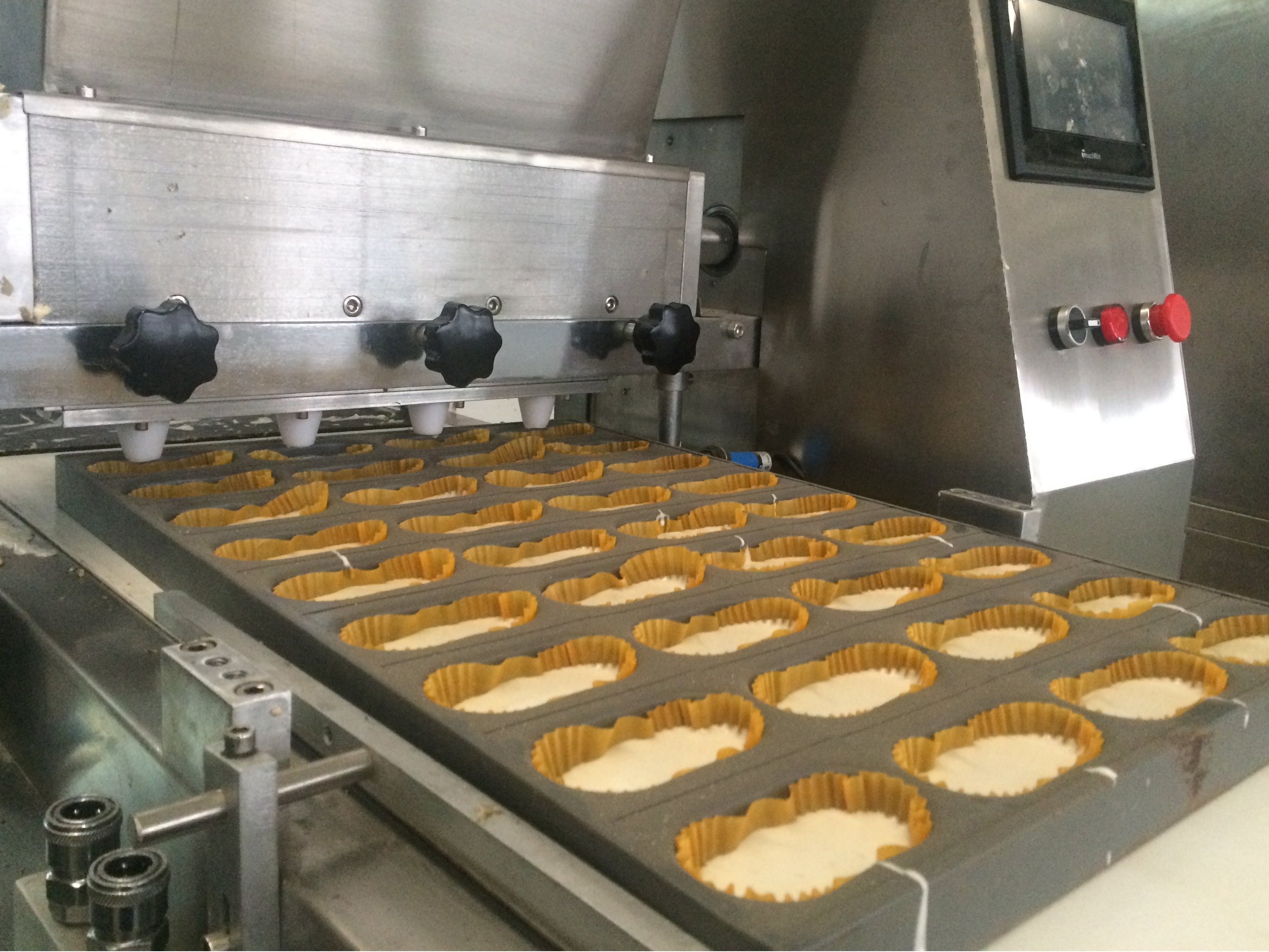cookies Extrusion machine