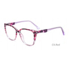 DILICN 2023 New Large Frame TR90 Material Optical Frame