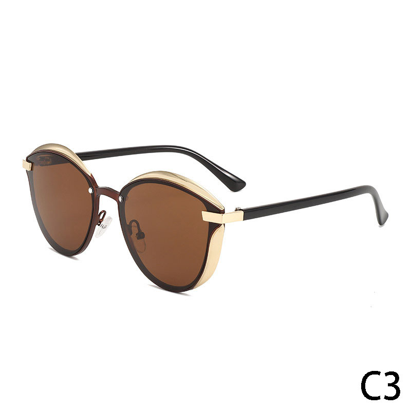 DILICN 2024 Hot Sell UV400 High Quality Polarized Design women Cat Eye Sunglasses