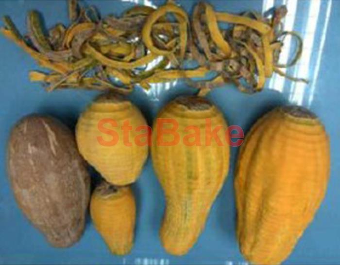 mango peeling machine