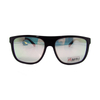 Polarized bifocal readinng sunglasses