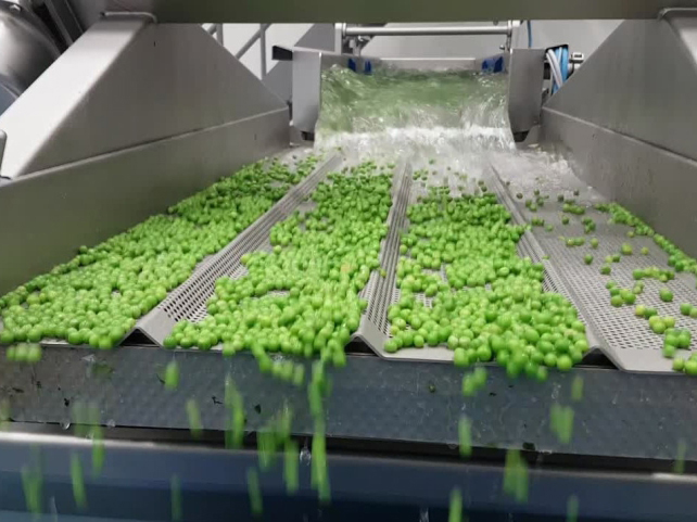 Fruit And Vegetable Washing Processing Machine