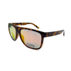 Polarized bifocal readinng sunglasses
