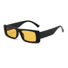 Small Frame Square Sunglasses