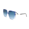 2022 New Fashion RPCTG Recycled Material Polygon Women Men Blue Purple Polarized Sunglasses