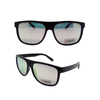 Polarized bifocal readinng sunglasses