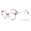 DILICN 2023 New TR90 Material Optical Frame round frame opticalframes TR90 and metal hybrid