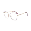 Women Optical Glasses Spectacle Trendy Eyewear Cat Eye Eyeglasses Metal Optical Frames