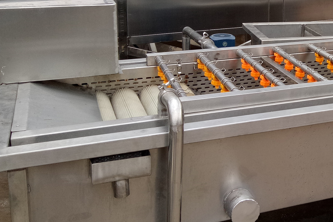 Fruit And Vegetable Washing Processing Machine