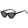 New Fashion Triangle Eyewear Style Sunglasses Trendy Cat Eye Sun Glasses