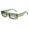 Small Frame Square Sunglasses