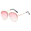 DILICN 2024 Xiaoxiang Retro Double-Beam Rivet Trim Sunglasses Amazon Popular Cross-Border Wholesale SUA NGLASSE