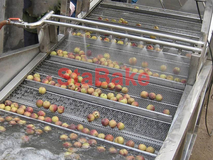 Fruit And Vegetable Washing Processing Machine