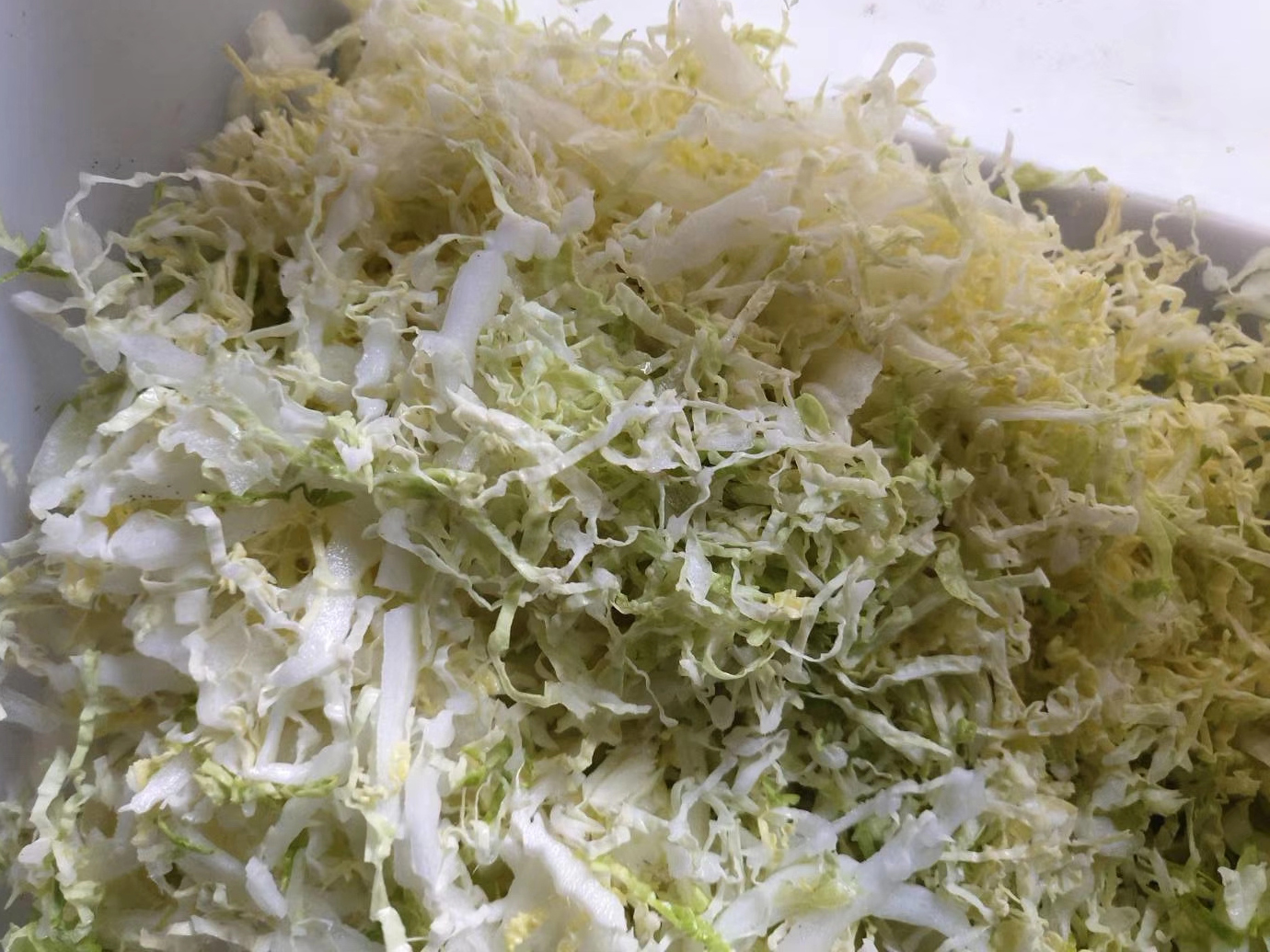 Cabbage Cutting machine