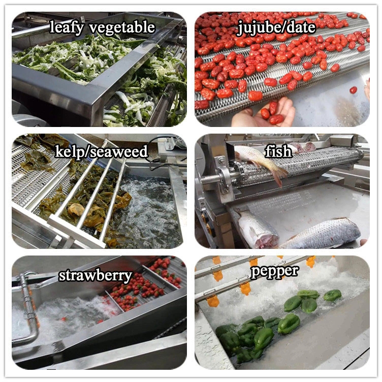 Fruit And Vegetable Washing Processing Machine
